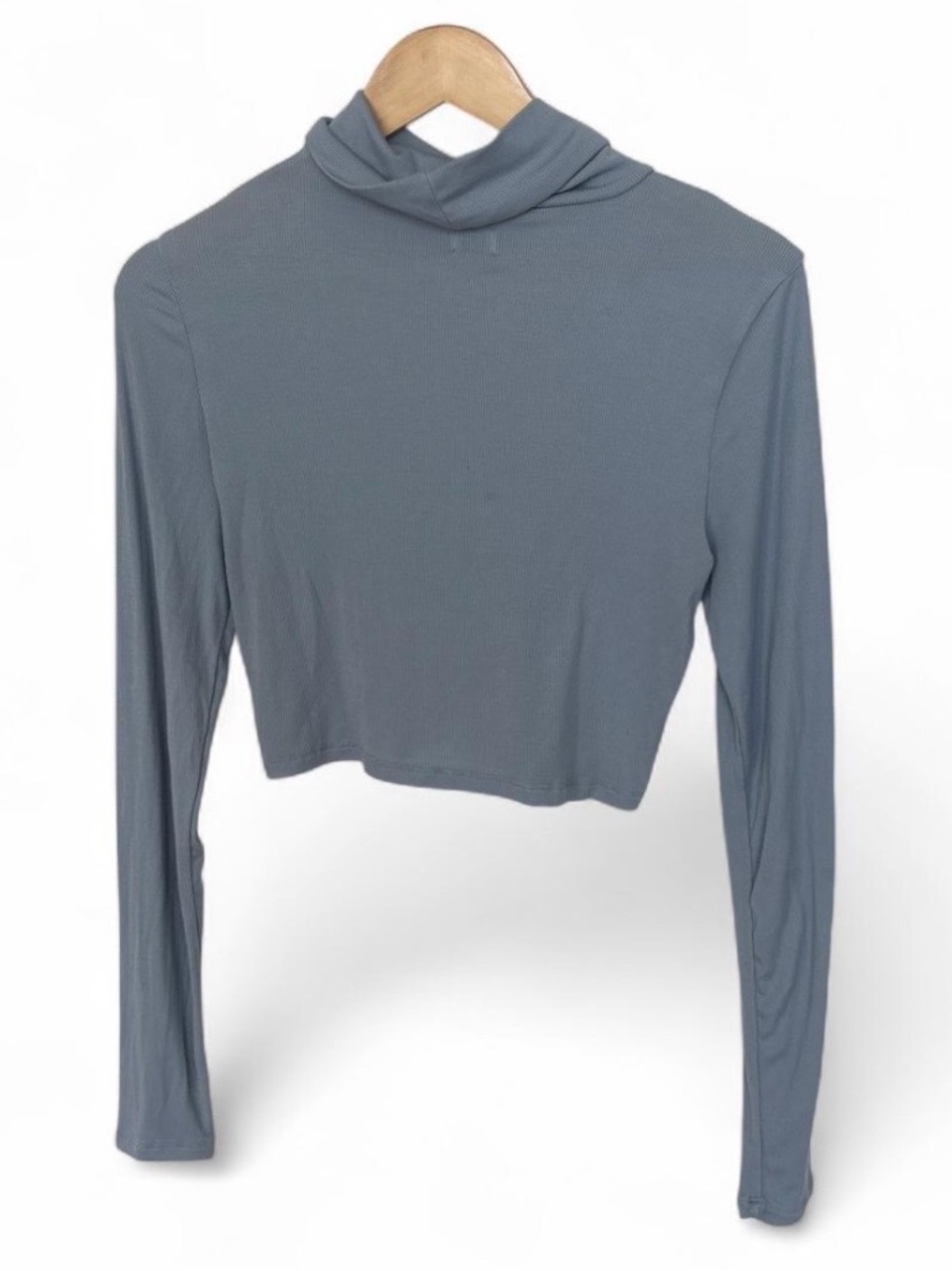 Aritizia Women's Cropped Turtleneck Top - Slate Blue